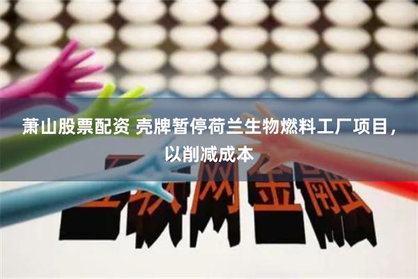 萧山股票配资 壳牌暂停荷兰生物燃料工厂项目，以削减成本