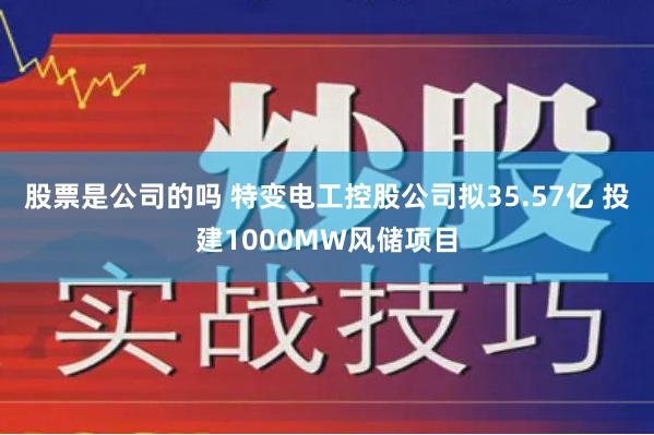 股票是公司的吗 特变电工控股公司拟35.57亿 投建1000MW风储项目