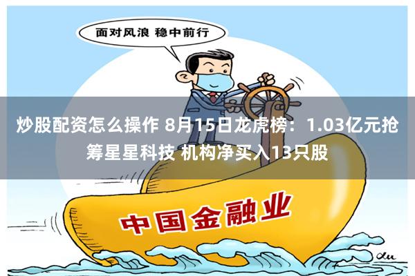 炒股配资怎么操作 8月15日龙虎榜：1.03亿元抢筹星星科技 机构净买入13只股