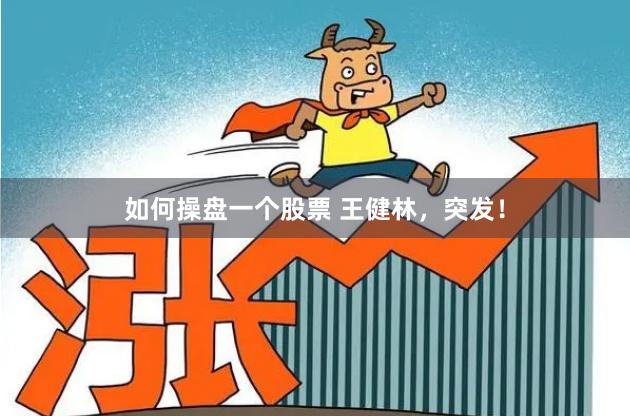 如何操盘一个股票 王健林，突发！
