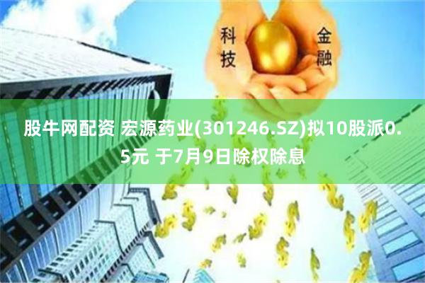 股牛网配资 宏源药业(301246.SZ)拟10股派0.5元 于7月9日除权除息