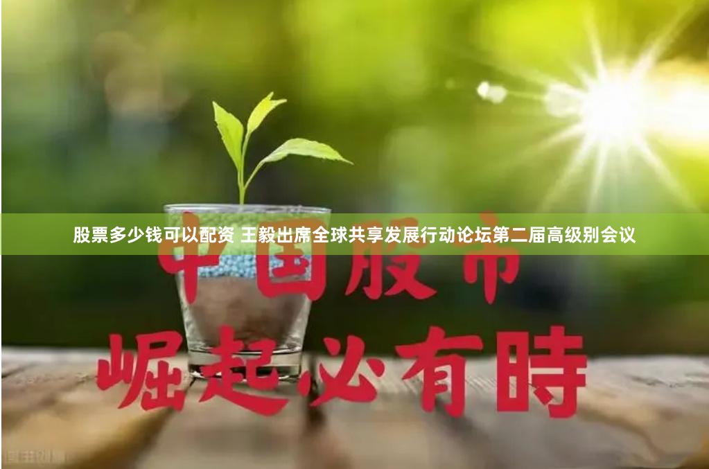 股票多少钱可以配资 王毅出席全球共享发展行动论坛第二届高级别会议