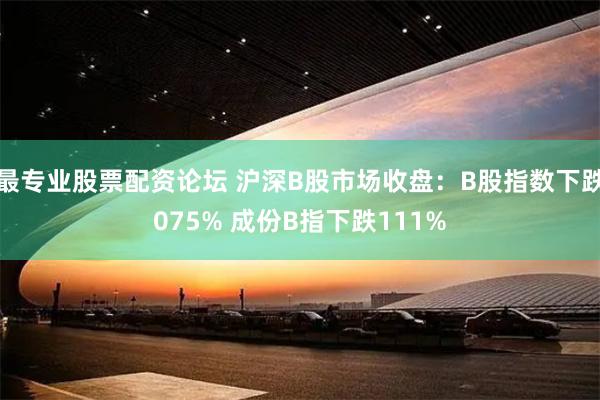 最专业股票配资论坛 沪深B股市场收盘：B股指数下跌075% 成份B指下跌111%