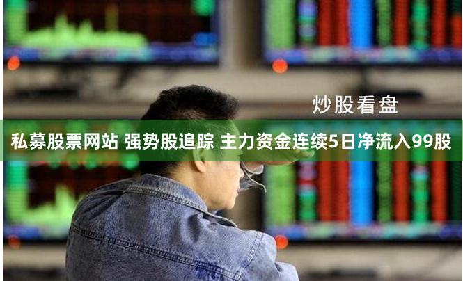 私募股票网站 强势股追踪 主力资金连续5日净流入99股