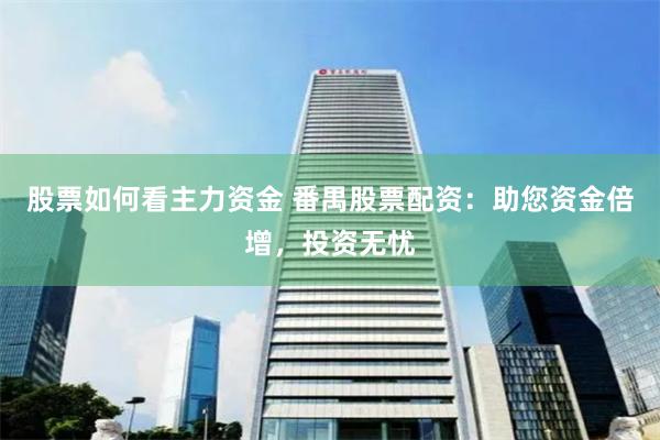 股票如何看主力资金 番禺股票配资：助您资金倍增，投资无忧