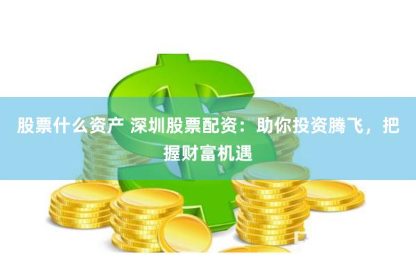 股票什么资产 深圳股票配资：助你投资腾飞，把握财富机遇